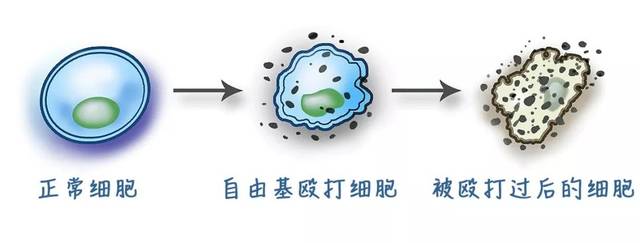 注意了:抗氧化保健品增加化疗后肿瘤的复发和死亡风险