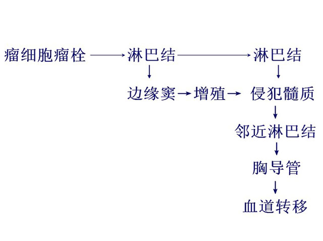 未标题-2.jpg