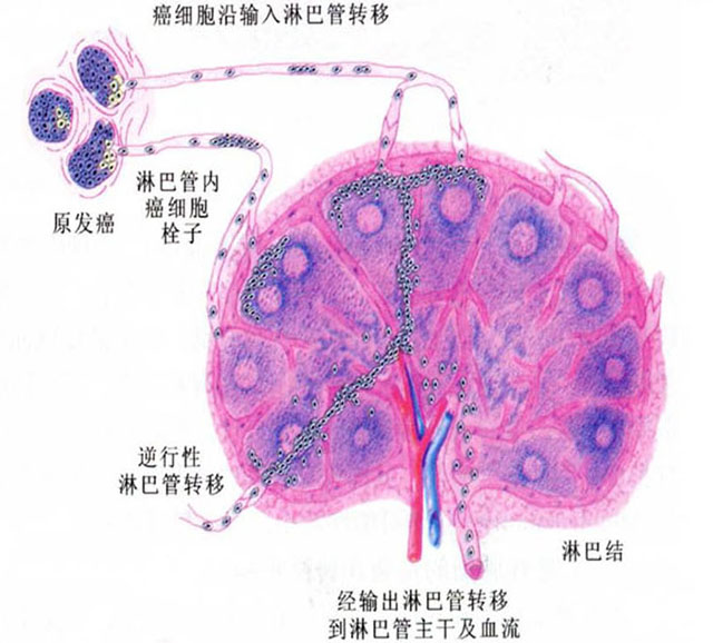 未标题-1.jpg