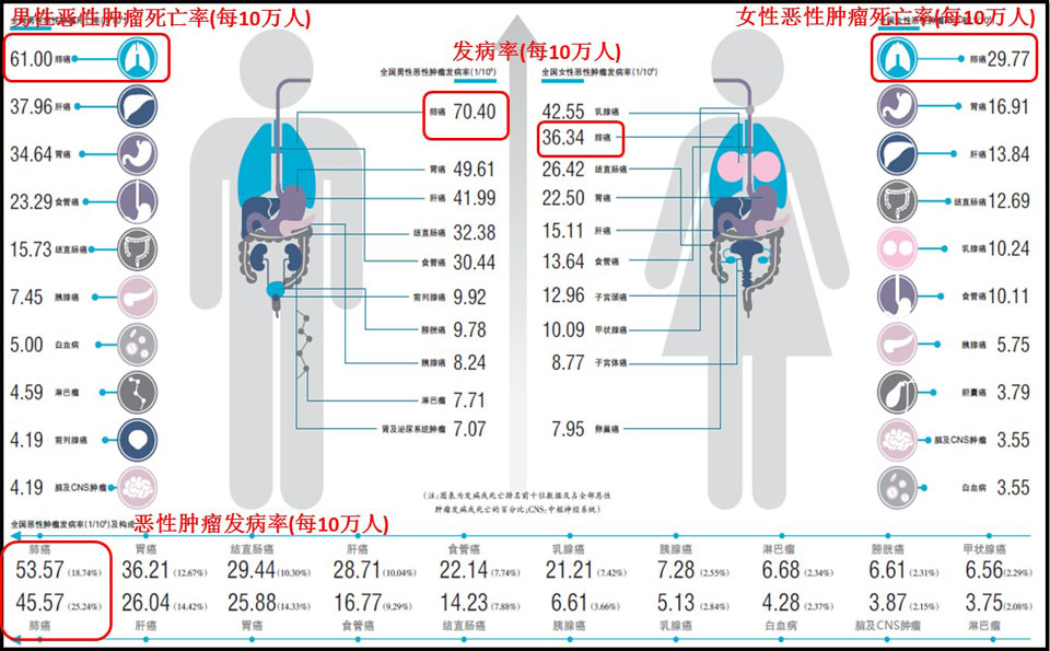 1541523169646929.jpg 恶性肿瘤的流行病学.jpg