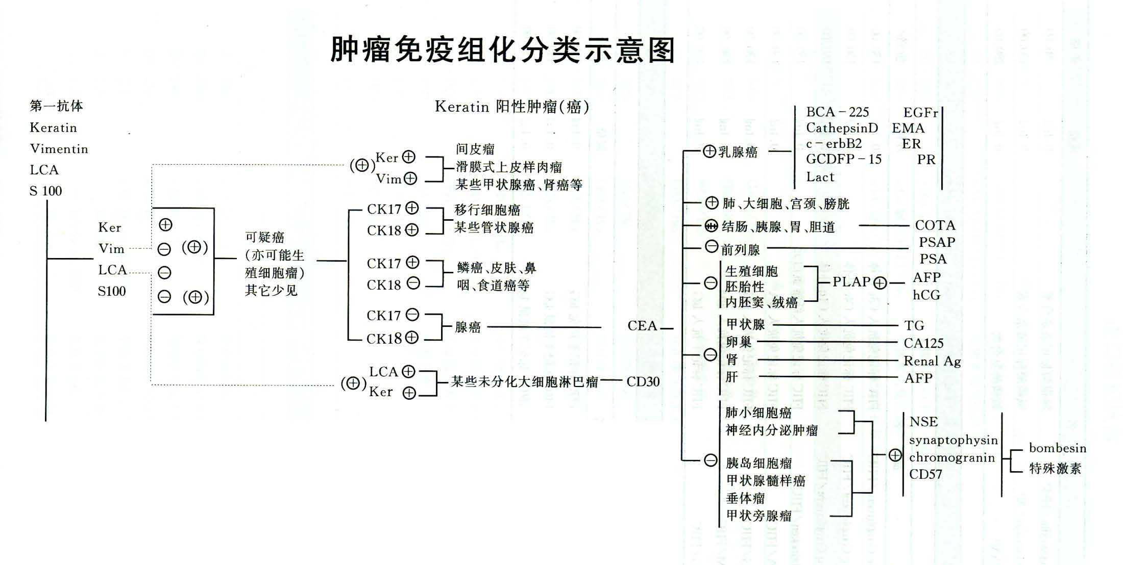 1分子临床病理学-IHC.jpg