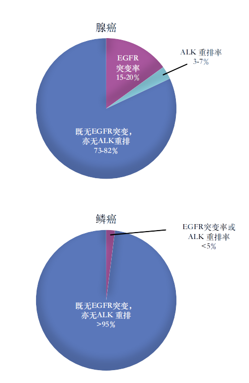 鳞癌和腺癌突变比例.PNG