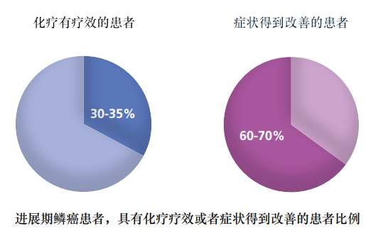 化疗有效率和症状改善率.PNG