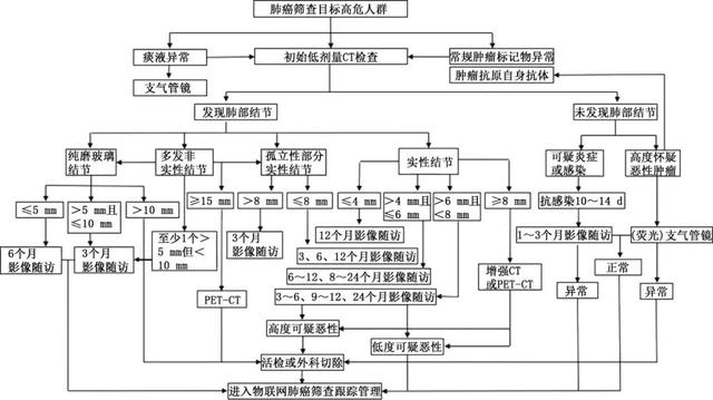 肺癌筛查与管理中国专家共识│指南共识