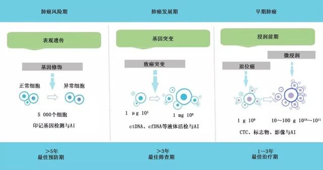 肺癌筛查与管理中国专家共识│指南共识