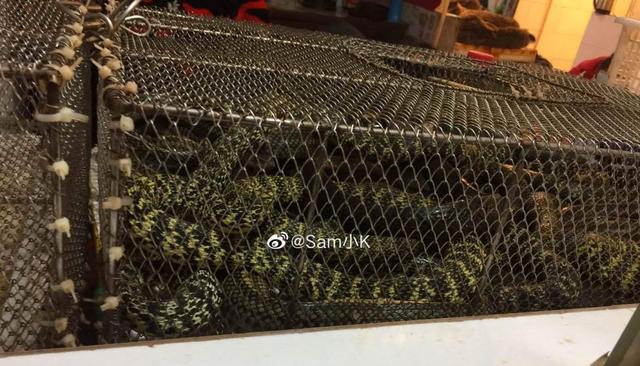 触目惊心！武汉肺炎源头华南海鲜市场，鲜为人知照片曝光…