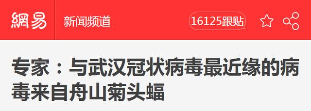触目惊心！武汉肺炎源头华南海鲜市场，鲜为人知照片曝光…