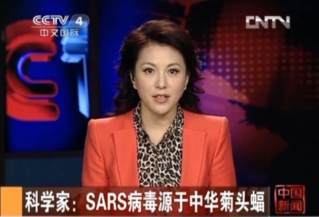 触目惊心！武汉肺炎源头华南海鲜市场，鲜为人知照片曝光…