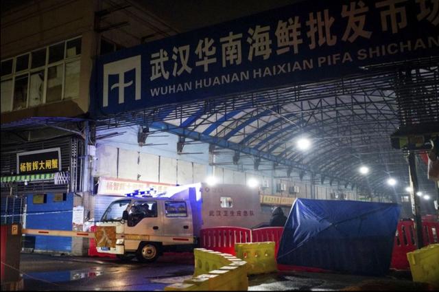 触目惊心！武汉肺炎源头华南海鲜市场，鲜为人知照片曝光…