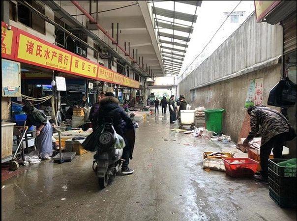 触目惊心！武汉肺炎源头华南海鲜市场，鲜为人知照片曝光…
