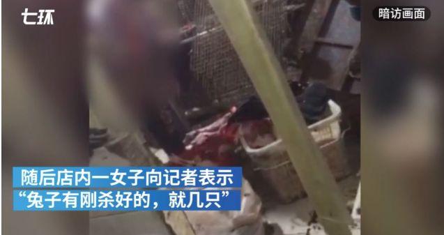 触目惊心！武汉肺炎源头华南海鲜市场，鲜为人知照片曝光…