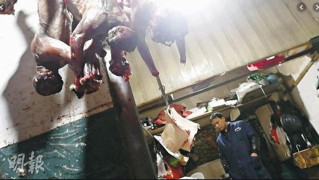 触目惊心！武汉肺炎源头华南海鲜市场，鲜为人知照片曝光…
