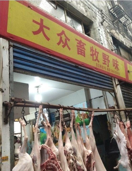 触目惊心！武汉肺炎源头华南海鲜市场，鲜为人知照片曝光…