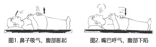 腹式深呼吸（膈肌呼吸）.jpg