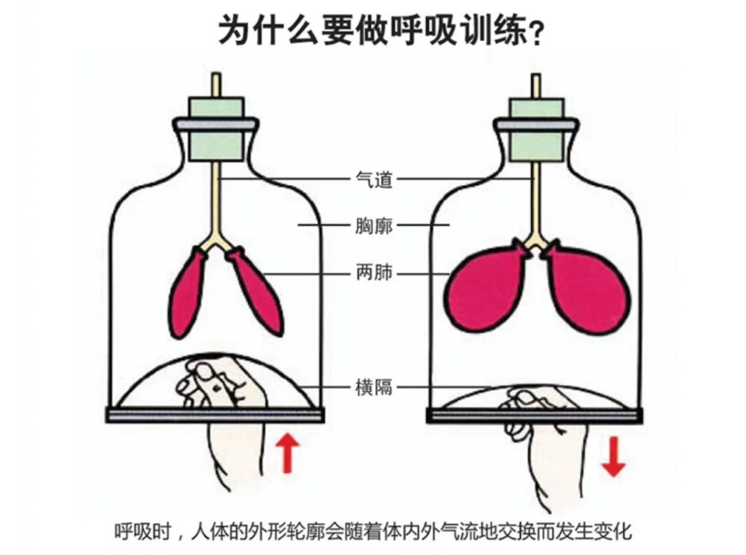 （3）周晓医生详解微创漏斗胸矫正术（Nuss手术）-京东健康