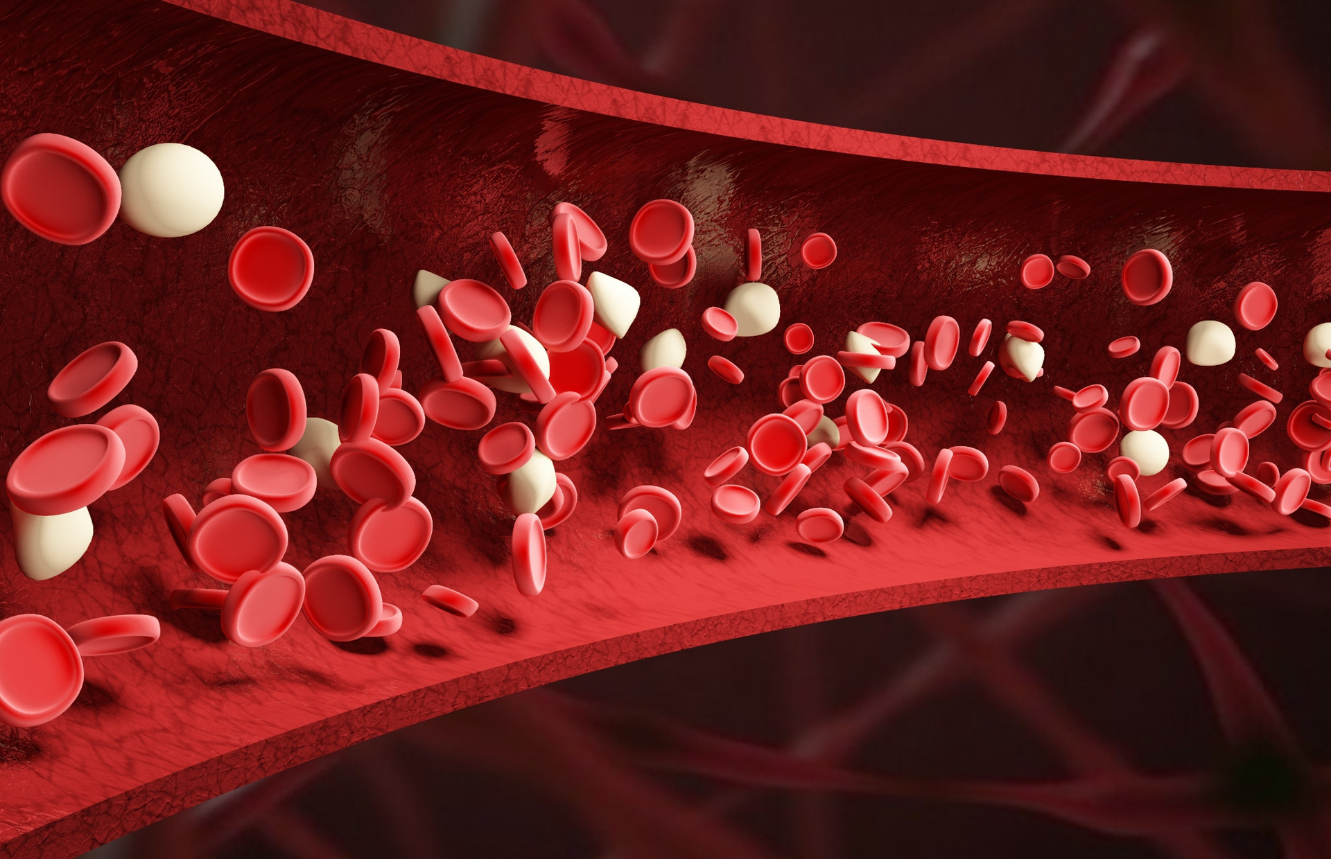 摄图网_400139901_banner_血红细胞血管场景（企业商用）.jpg