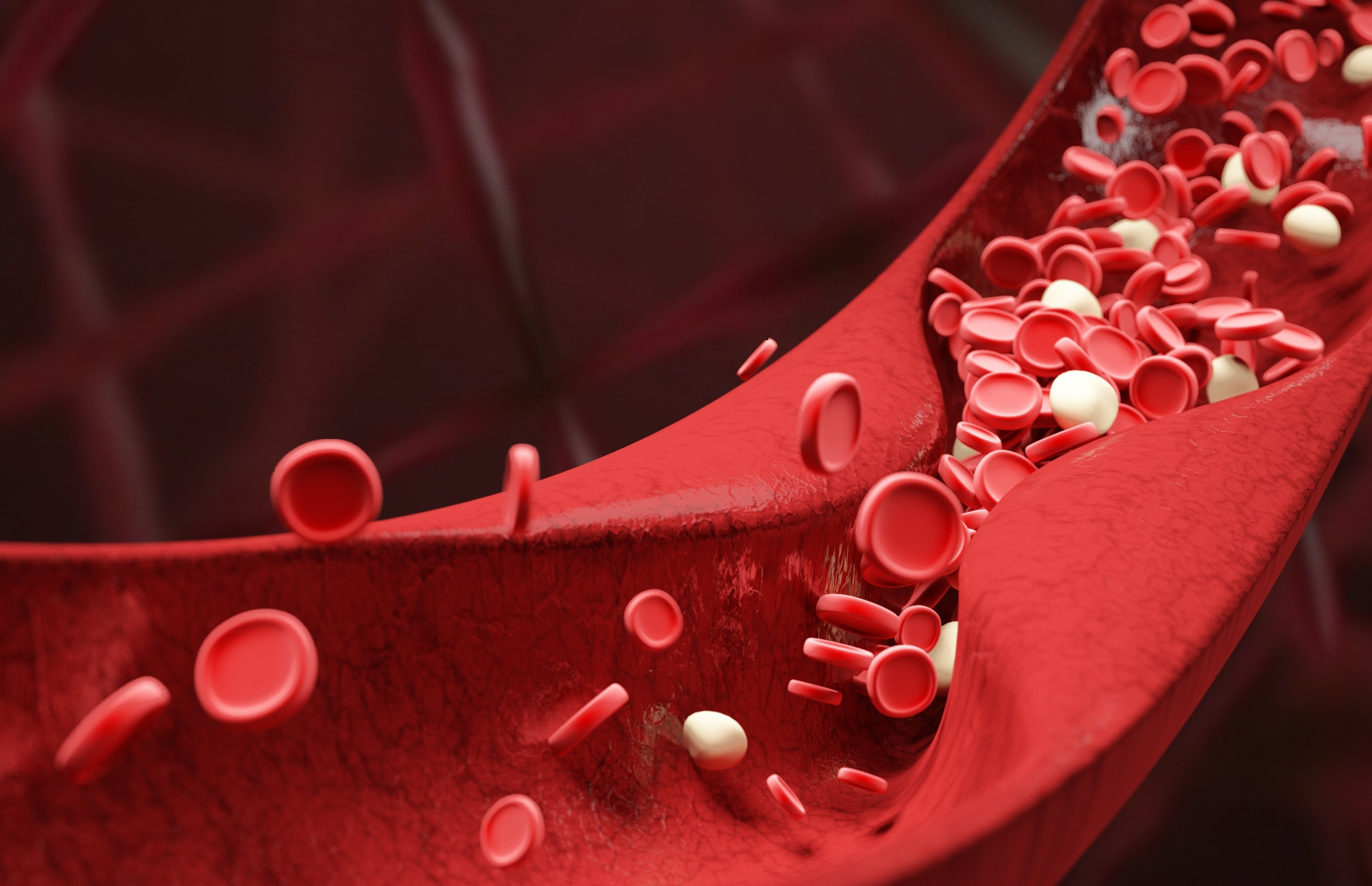 摄图网_400140753_banner_血红细胞血管场景（企业商用）.jpg