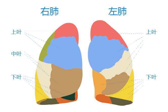 微信图片_20210205165734.png