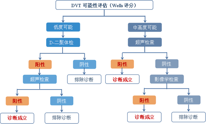 深静脉血栓形成（DVT）的诊断和治疗