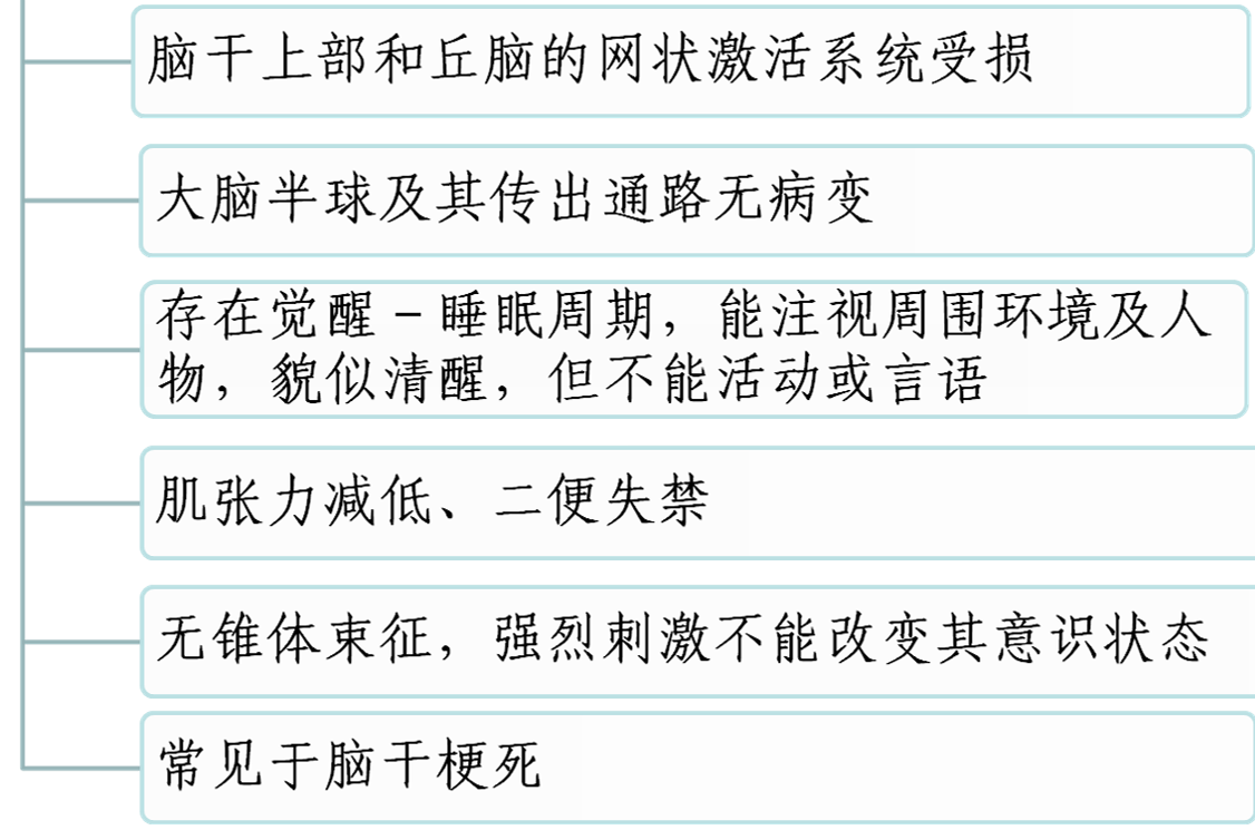 神经系统疾病的常见症状:意识障碍